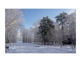008-к

Просмотров: 664
Комментариев: 0