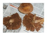 P9210711