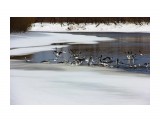 новый формат

Просмотров: 2796
Комментариев: 0