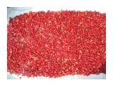 Изображение 063

Просмотров: 1529
Комментариев: 