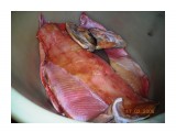 Рыбка соленая...
Фотограф: vikirin

Просмотров: 1055
Комментариев: 0