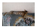2

Просмотров: 617
Комментариев: 