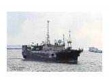 АЙСБЕРГ.  (Бывший NEREUS 2,   MIKURI,   CHENG  HUI  No 1.    IMO 9520390,   MMSI  273334490,  CS UBTK).  Порт Невельск.
Фотограф: 7388PetVladVik

Просмотров: 3273
Комментариев: 0