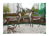 олени

Просмотров: 2802
Комментариев: 0