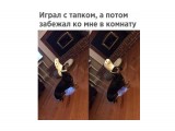 Название: :)))
Фотоальбом: Живности. Пёсы
Категория: Животные

Просмотров: 631
Комментариев: 0