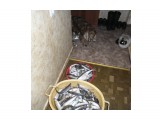улов 09.03.2013

Просмотров: 1238
Комментариев: 