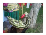 Овощное чудо

Просмотров: 1465
Комментариев: 2