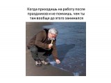 gvozdiki