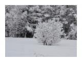 куст1

Просмотров: 329
Комментариев: 0