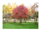 Фото 32

Просмотров: 786
Комментариев: 0