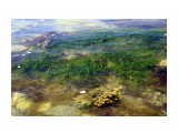 морская трава

Просмотров: 2757
Комментариев: 0