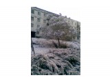 Фото001.

Просмотров: 508
Комментариев: 