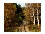 Название: Извилистая дорожка
Фотоальбом: Осень
Категория: Пейзаж

Время съемки/редактирования: 2010:10:10 16:08:43
Фотокамера: Canon - Canon EOS 50D
Диафрагма: f/7.1
Выдержка: 1/100
Фокусное расстояние: 47/1
Светочуствительность: 100


Просмотров: 1146
Комментариев: 2