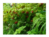 скорее бы лето.....

Просмотров: 2058
Комментариев: 0