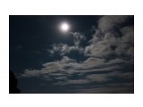 Ночь..Ветер гнал облачка, мимо луны...

Просмотров: 2722
Комментариев: 0