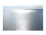 Серебро морское... ну очень красиво.. 
Фотограф: vikirin

Просмотров: 2979
Комментариев: 0
