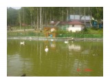 DSC05009
Ю.Сахалинский зоопарк.

Просмотров: 3756
Комментариев: 0
