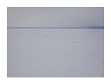 На кромке льда....
Фотограф: Tsygankov Yuriy

Просмотров: 658
Комментариев: 0