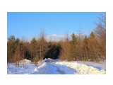 зимник

Просмотров: 2780
Комментариев: 0