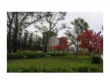 IIGP4526

Просмотров: 653
Комментариев: 0