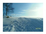 SAM_3179

Просмотров: 2647
Комментариев: 0