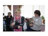 Название: IMG_5699
Фотоальбом: выставка кошек 20.12.09
Категория: Животные

Время съемки/редактирования: 2009:12:20 15:17:21
Фотокамера: Canon - Canon EOS 1000D
Диафрагма: f/4.0
Выдержка: 1/60
Фокусное расстояние: 28/1
Светочуствительность: 400


Просмотров: 764
Комментариев: 0