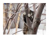 DSC03581_
Залезть-то я залез...

Просмотров: 694
Комментариев: 1