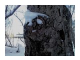 20211231162624

Просмотров: 447
Комментариев: 0