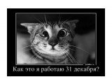№2