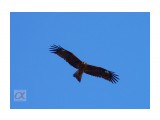 ***
Фотограф: Сергей Буркацкий

Просмотров: 1252
Комментариев: 0
