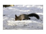 ***

Просмотров: 2783
Комментариев: 0