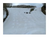 8-ки на снегу, ещё :)

Просмотров: 1459
Комментариев: 0