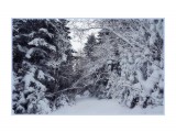 обкатка снегоступов
Фотограф: Федик О.Б.

Просмотров: 600
Комментариев: 0