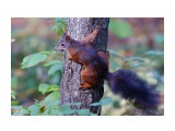 ***
Фотограф: Сергей Буркацкий

Просмотров: 1160
Комментариев: 0