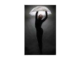umbrella

Просмотров: 3344
Комментариев: 0