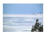 Зимнее море
Фотограф: vikirin

Просмотров: 5332
Комментариев: 0