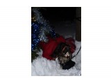 Название: f1aef10fa0d6f7c0be6bceb1c9a10689
Фотоальбом: Встреча НГ на ГВ
Категория: Праздники

Просмотров: 926
Комментариев: 0