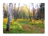 осень в парке

Просмотров: 6410
Комментариев: 0