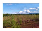 Название: ***
Фотоальбом: ОБЛАКА
Категория: Пейзаж
Фотограф: Сергей Буркацкий

Просмотров: 1171
Комментариев: 0