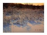 Первый день 20-го...

Просмотров: 673
Комментариев: 0