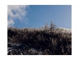 Хрустальный лес
Фотограф: фотохроник

Просмотров: 640
Комментариев: 0