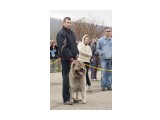 Название: Кавказцы (9)
Фотоальбом: Выставка собак 22-23 мая 2010г.
Категория: Животные

Время съемки/редактирования: 2010:05:31 00:40:14
Фотокамера: Canon - Canon EOS 50D
Диафрагма: f/5.6
Выдержка: 1/640
Фокусное расстояние: 85/1
Светочуствительность: 400


Просмотров: 1404
Комментариев: 0