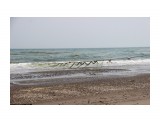 Название: ***
Фотоальбом: море
Категория: Море

Время съемки/редактирования: 2019:05:26 15:48:33
Фотокамера: Canon - Canon EOS 600D
Диафрагма: f/6.3
Выдержка: 1/800
Фокусное расстояние: 50/1



Просмотров: 439
Комментариев: 0