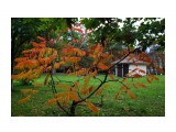 145-к

Просмотров: 459
Комментариев: 0