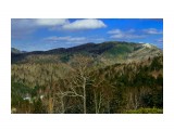 Холмское шоссе-3
Фотограф: EA_Sakh

Просмотров: 845
Комментариев: 0