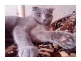 Ого-го...

Просмотров: 3866
Комментариев: 