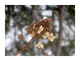 DSC08845_н

Просмотров: 955
Комментариев: 0