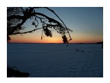 SAM_7017_DxO

Просмотров: 277
Комментариев: 0