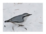 ***
Фотограф: Сергей Буркацкий

Просмотров: 929
Комментариев: 0