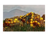 К путине

Просмотров: 2131
Комментариев: 1